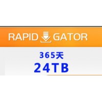 Rapidgator 高级会员365天 24TB